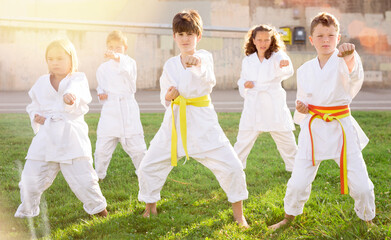 Group of confident preteen children practicing karate movements during outdoors group class in summer park on sunny day © JackF