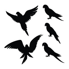 parrot silhouettes collection on a white background.