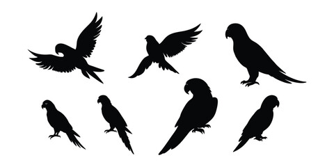 Obraz premium parrot silhouettes collection on a white background.