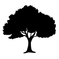 Silhouette of a Lush Tree with Dense Foliage Against a White Background
