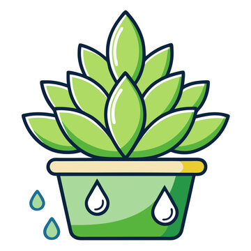 green succulent plant in pot clip art preview