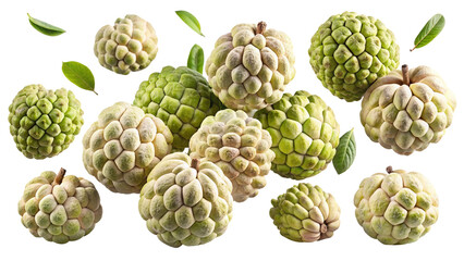 Obraz premium Fresh Custard Apple and Sugar Apple Fruits with Green Leaves isolated on Transparent Background