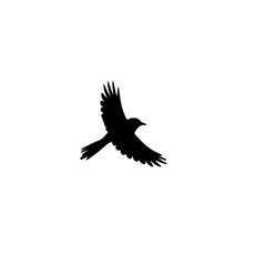 Silhouetted swallows in scattered flight on a white background, reflecting minimalist beauty and a sense of peaceful freedom.”