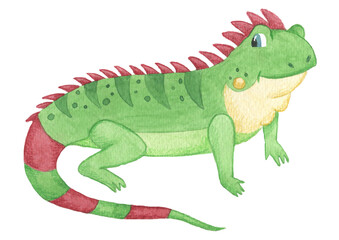 cute watercolor hand drawn iguana