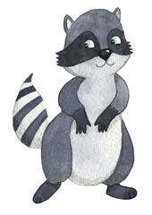cute watercolor hand drawn raccoon