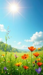 Fototapeta premium Sun-drenched wildflowers sway gently in a tranquil meadow , wildlife, botany, tranquil