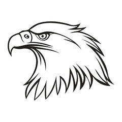 Eagle Head Vector Illustration on White Background