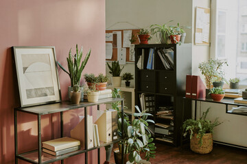 Cozy minimalist office of IT company equipped with wooden furniture and decorated with ficuses and cactuses in clay pots places on floor and shelves