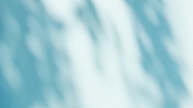 Abstract silhouette shadows of natural leaves tree branch falling on a light blue wall background. Transparent blurry shadow in morning sunlight with copy space for text,4K