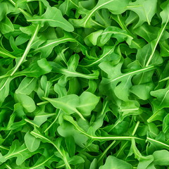Fototapeta premium Seamless pattern featuring fresh arugula leaves in vibrant green shades suitable for various design applications