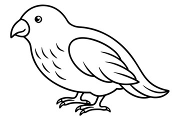 Graceful Kestrel Drawing