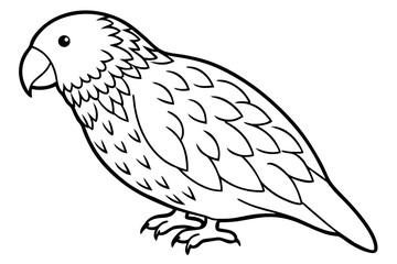 Graceful Kestrel Drawing