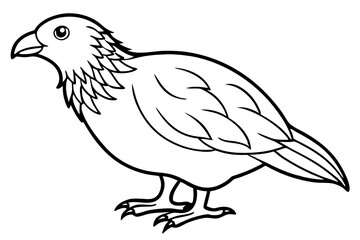 Graceful Kestrel Drawing