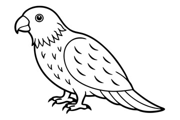 Fototapeta premium Graceful Kestrel Drawing