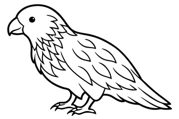 Graceful Kestrel Drawing