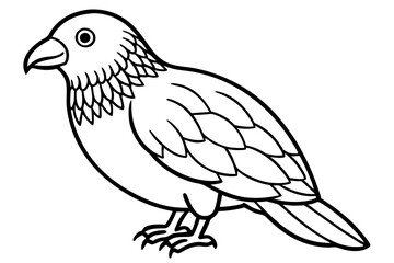 Graceful Kestrel Drawing