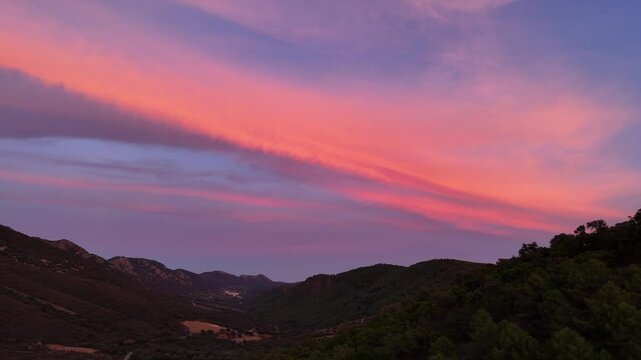 Atardecer con dron en el bosque