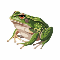 Minimalist Chorus Frog Vector with Playful Accents