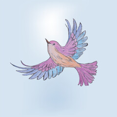 Colorful Artistic Illustration of a Vibrant Bird Flying Mid Air 