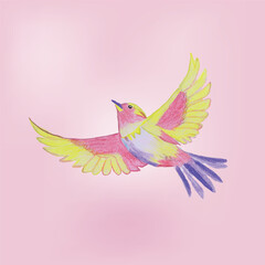 Colorful Watercolor Bird Illustration on Soft Pastel Background 