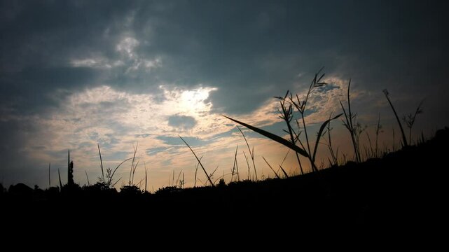Sunset Over Silhouette of Rice Field