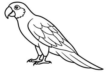Fototapeta premium Graceful Macaw Silhouette