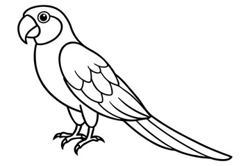 Graceful Macaw Silhouette