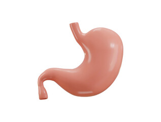 Fototapeta premium Stomach Human Organs icon 3d render concept of healthy human organ vector illustration