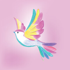 A vibrant hand-drawn bird with multicolored feathers floats gracefully on a light pink backdrop, embodying themes of beauty, freedom, and creativity.