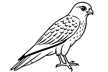 Kestrel Abstract Linework
