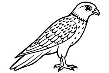 Kestrel Abstract Linework