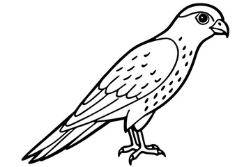 Kestrel Abstract Linework