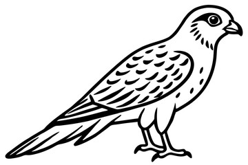 Fototapeta premium Kestrel Abstract Linework
