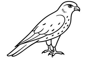 Kestrel Abstract Linework