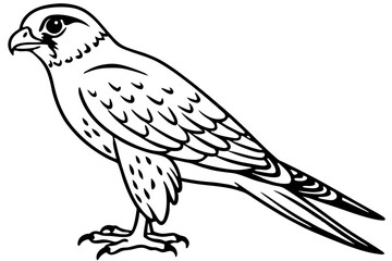 Kestrel Abstract Linework
