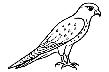 Kestrel Abstract Linework