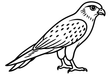 Kestrel Abstract Linework