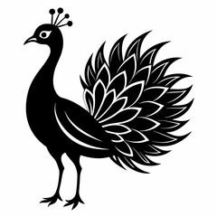 Graceful Peacock in Silhouette – Vector Design