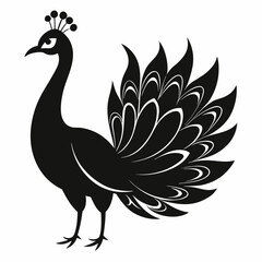 Graceful Peacock in Silhouette – Vector Design