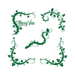 Fototapeta premium Thorny Vine Decorative Elements