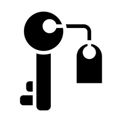 Key Icon Style