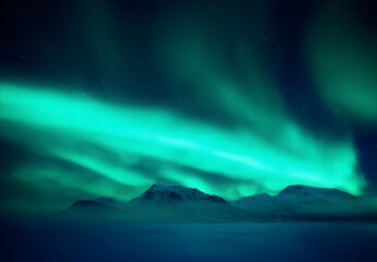 Naklejka premium Northern Lights Over a Winter Landscape