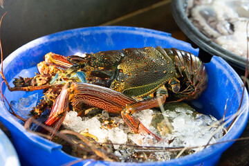 Fish market in Kochi India, market stall with freshly caught crawfish lobster, sea food Kerala beach