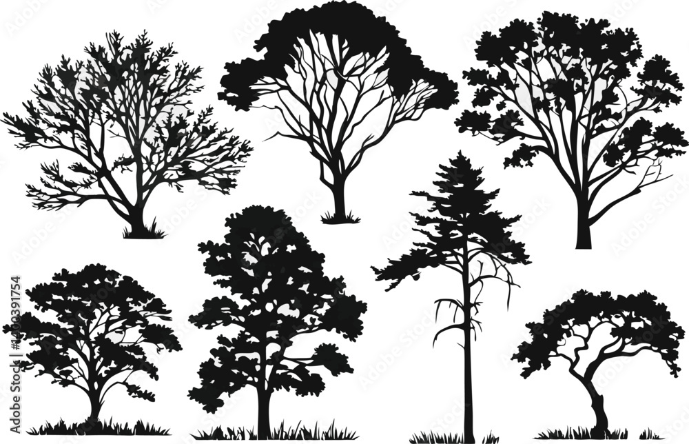 Wall mural silhouette tree vector set for design elements nature graphics forest trees woodland tree shapes iso