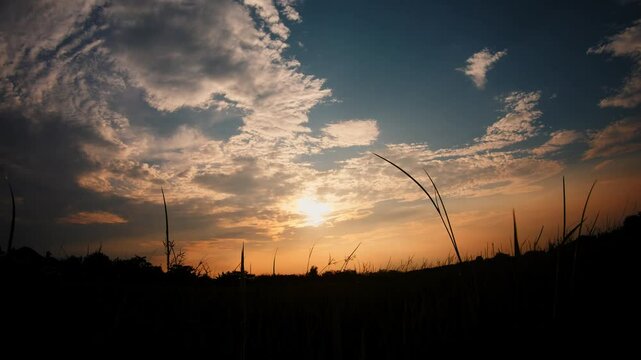 Sunset Over Silhouette of Rice Field