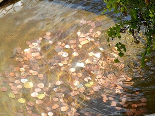 World Wish Day is celebrated every April 29. Horizontal image of coins thrown into a fountain by people hoping their wishes will come true. Drop of water with sparkling coins at the bottom of a pool.