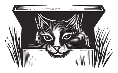 Intricate Woodcut Illustration of a Cat Peeking from a Box