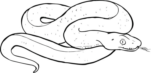  How to draw A Snake drawing step by step