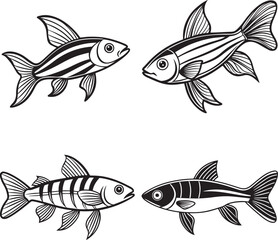 Fototapeta premium silver, sing danio, spadefish and stinging line art design