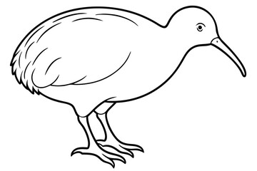 Kiwi Bird Sketch Vector